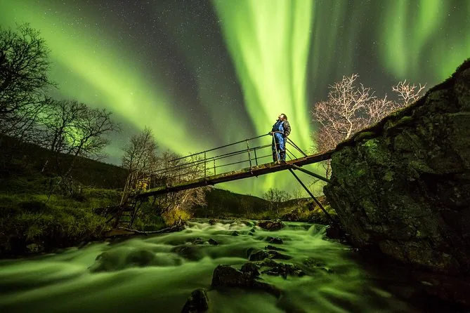 Greenlander Nordlichtjagd in kleiner Gruppe