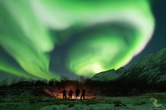 A huge green aurora corona over a small group by a campfire