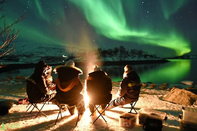 Four people in camping chairs around a campfire by a fjord under green aurora, seen from behind