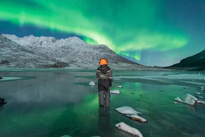 Una persona con ropa de invierno y gorro naranja de pie en una orilla helada bajo una aurora verde