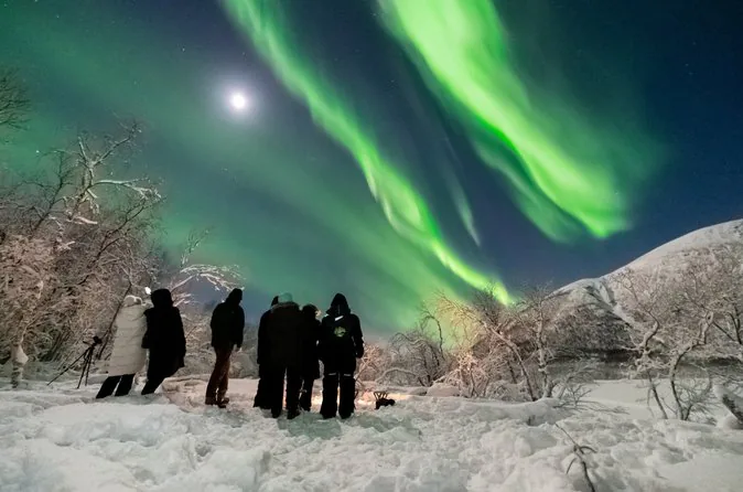 A small group standing in deep snow under green aurora and a bright moon, seen from behind